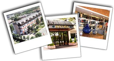 imagini hotel garden noale